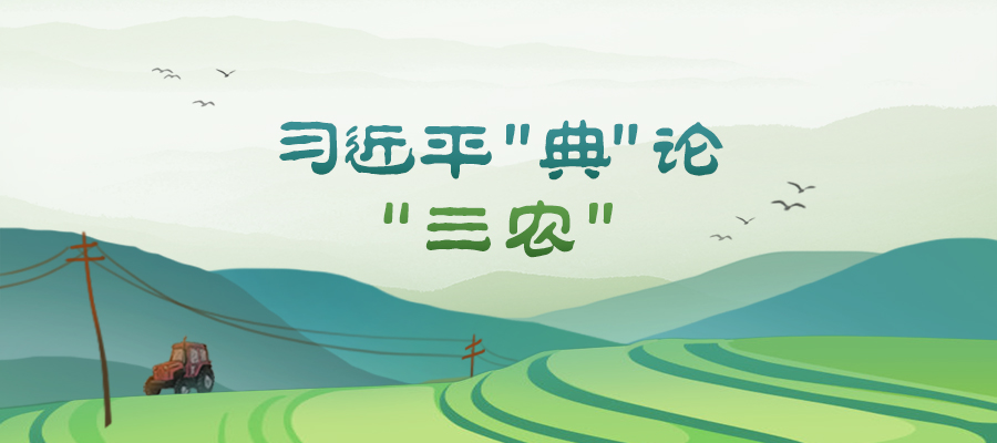 習近平“典”論“三農”