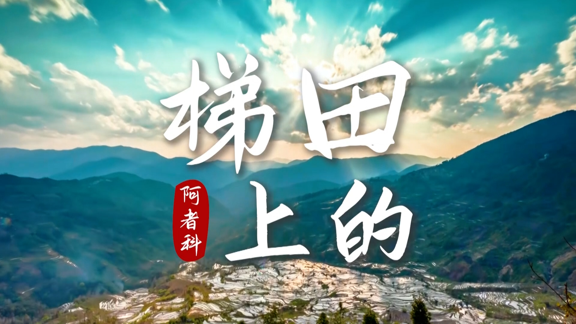 梯田上的阿者科