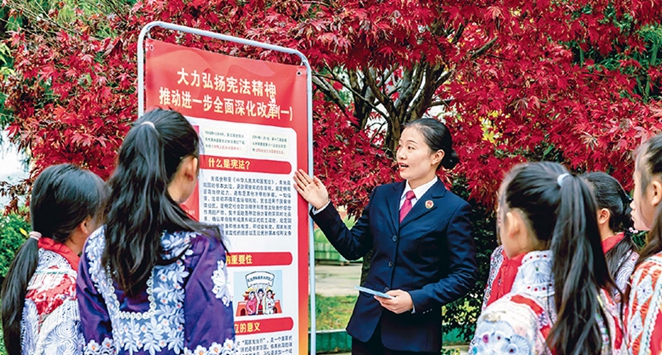 努力建設更高水平的平安中國法治中國