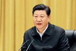 在深入推動長江經濟帶發展座談會上的講話