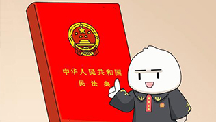 第五集：中國(guó)特色社會(huì)主義法治體系如何保證公平正義？