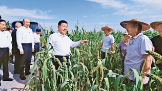 堅持把解決好“三農”問題作為全黨工作重中之重，舉全黨全社會之力推動鄉村振興