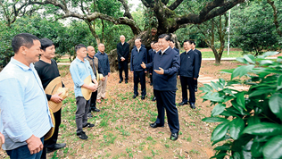 加快構建新發展格局　把握未來發展主動權
